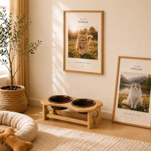Bone Elevated 5.5" Ceramic Cat Puppy Bowls, Tilted Cat Bowl Stand