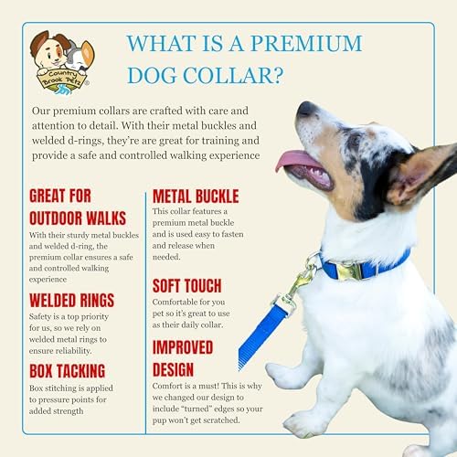 Country Brook Petz - Premium Nylon Dog Collar with Metal Buckle for Small Medium Large Breeds - 30+ Colors (Small, 3/4 Inch, Bright Royal Blue)