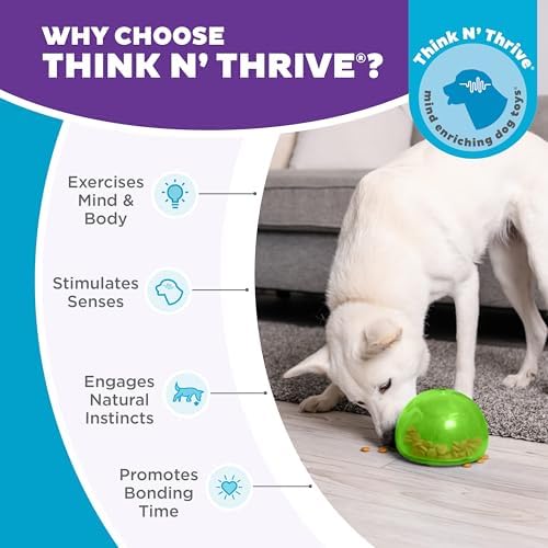 Outward Hound by Planet Dog Snoop Dog Toy – Treat‑Dispenser Puzzle Ball,Interactive Slow Feeder,Medium to Large Dogs,Bouncy & Mint-Infused,Green,5",(Pack of 2)