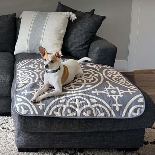 Paw Inspired Designer Medallion Print Dog Pads, 36x36 Inch Size, 2 Pack