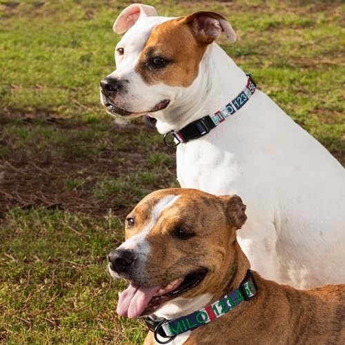 Pawtitas Personalized Dog Collar Medium Dog Collar Embroider Name Phone Number Puppy Collar Adjustable Customized Collar for Medium Dogs Breeds Multicolor Dog Collar