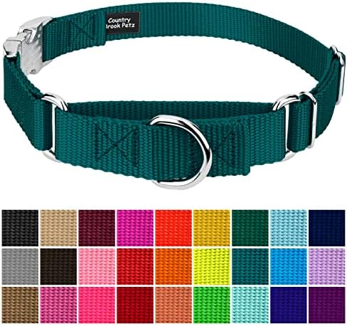Country Brook Petz - Martingale Dog Collar - Heavy Duty Nylon Adjustable Martingale Dog Collar with Metal Buckle for Small Medium Large Breeds - 30+ Color Options (1 Inch, Extra Large, Teal)