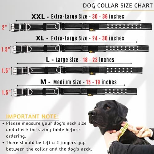 ADITYNA Heavy Duty Dog Collar for Extra-Large Dogs with Traffic Handle