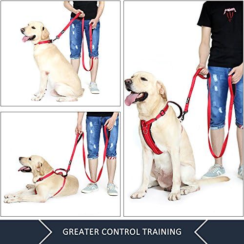 Plutus Pet Double Handle Dog Leash, 4 FT Long, for Medium Large Dogs