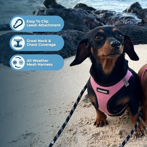Voyager Step-in Air Dog Vest Harness - Pink/Black Trim, X-Large