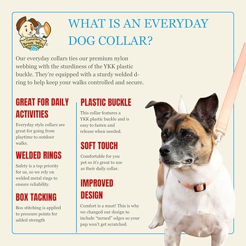 Country Brook Petz - Everyday Nylon Dog Collar for Large, Medium, and Small Dogs and Puppies - for Everyday Use in 30+ Colors (Large, 1 Inch Wide, Coral)