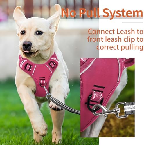 HEELE Dog Harness for Large Dogs No Pull Dog Vest Harness for Large Dog with Soft Padded Handle Reflective for Outdoor Training, Rose(Matching Trim), L