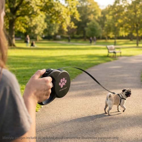 Retractable Dog Leash (Small), 10ft Heavy Duty Nylon Tape for Dogs up to 33 lbs, One-Hand Brake & Lock, Tangle-Free, Compact Lightweight Design, Black S GC-DAN
