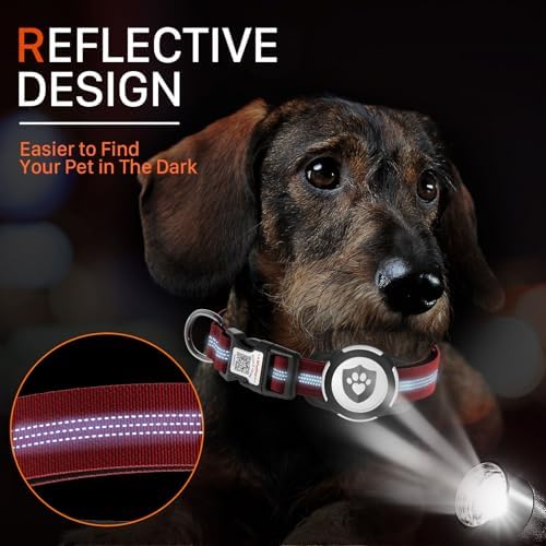 Waterproof AirTag Dog Collar with QR Code Dog Tag, Burgundy XS