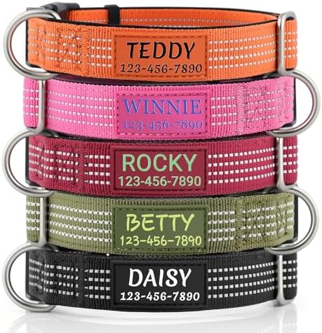 Personalized Dog Collars with Name & Phone Number, Neoprene Padded