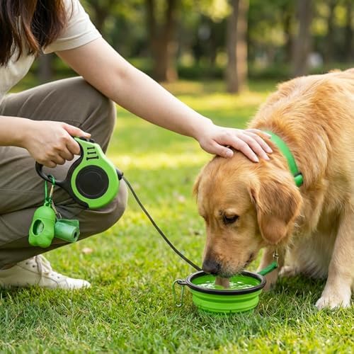 PETIMP Retractable Dog Leash Lightweight 16FT Leash Set