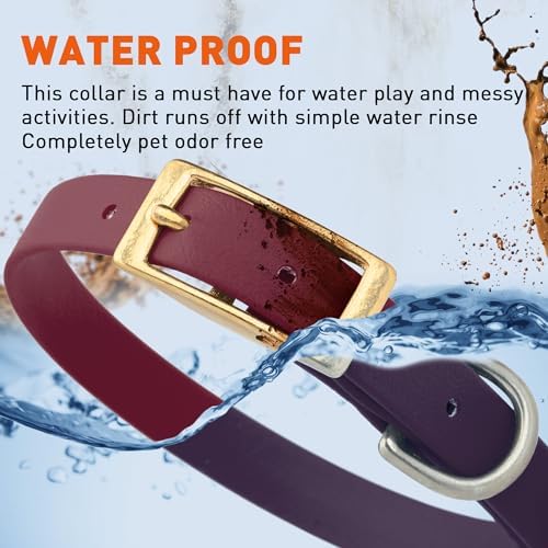 Viper Biothane Heavy Duty Waterproof Dog Collar Strong Coated Nylon Webbing w/Solid Brass Hardware Odor-Proof Easy to Clean High Performance Fits Small Medium or Large Dogs, Merlot Burgundy