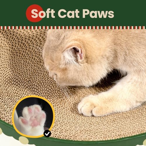 Conlun Oval Cat Scratcher Bed | Scratching Bowl Lounge for Kittens | Medium