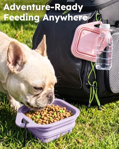 Pecute 2 Pack Foldable Dog Bowls for Travel, Portable Silicone, Pink/Purple
