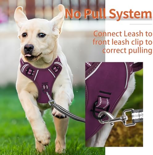 HEELE Dog Harness for Large Dogs No Pull Dog Vest Harness for Large Dog with Soft Padded Handle Reflective for Outdoor Training, Purple(Matching Trim), XL