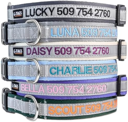 GoTags Reflective Personalized Dog Collar, Custom Embroidered Safety Collar