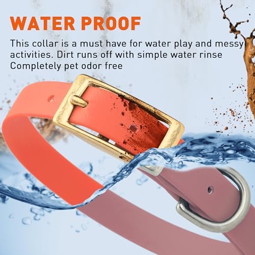 Viper Biothane Heavy Duty Waterproof Dog Collar Strong Coated Nylon Webbing w/Solid Brass Hardware Odor-Proof Easy to Clean High Performance Fits Small Medium or Large Dogs, Coral