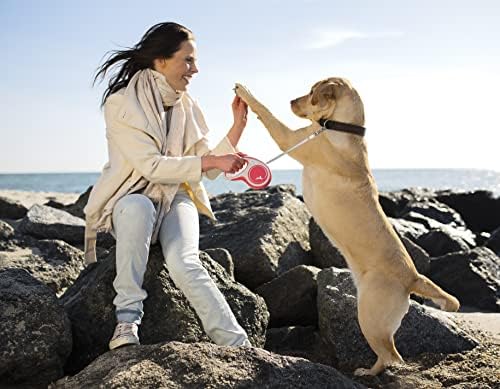 Flexi New Comfort 2020 Tape M (less than 25kg) 5m Red [Dog Lead]