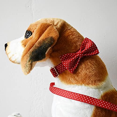 Custom Dog Collar with Names and Phone Number Engraved, Puppy Tags Personalized for Small Medium Large Pets