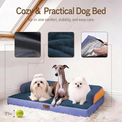Comfort Expression Orthopedic XL Dog Bed for Large and Extra Large Dogs