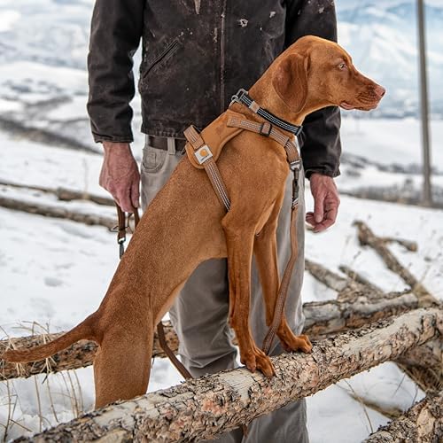 Carhartt Nylon Duck No Pull Dog Harness Faded Fatigue L