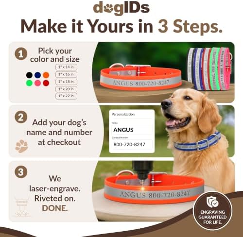 dogIDs Personalized Reflective Waterproof Dog Collar - Custom, Durable, Adjustable, Odor Resistant, Safe, Engraved - Orange, 1 in x 20 in (Fits Neck Sizes: 18-22 in)