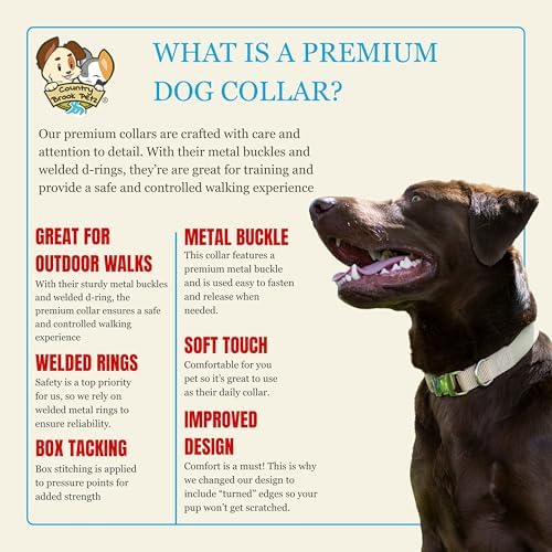 Country Brook Petz - Premium Nylon Dog Collar with Metal Buckle for Small Medium Large Breeds - 30+ Colors (Small, 3/4 Inch, Charcoal)
