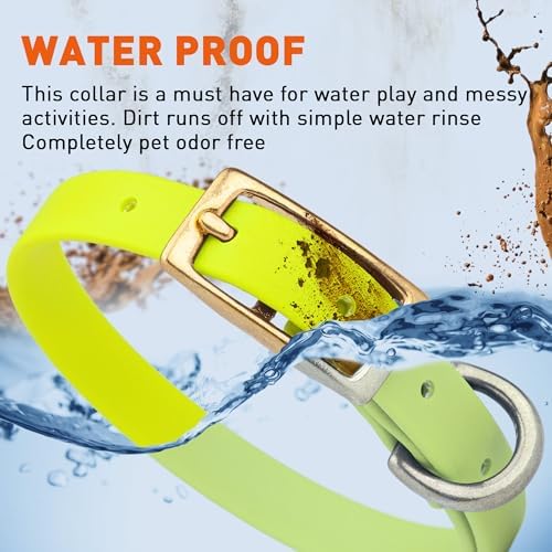 Viper Biothane Heavy Duty Waterproof Dog Collar Strong Coated Nylon Webbing w/Solid Brass Hardware Odor-Proof Easy to Clean High Performance Fits Small Medium or Large Dogs, Safety Yellow