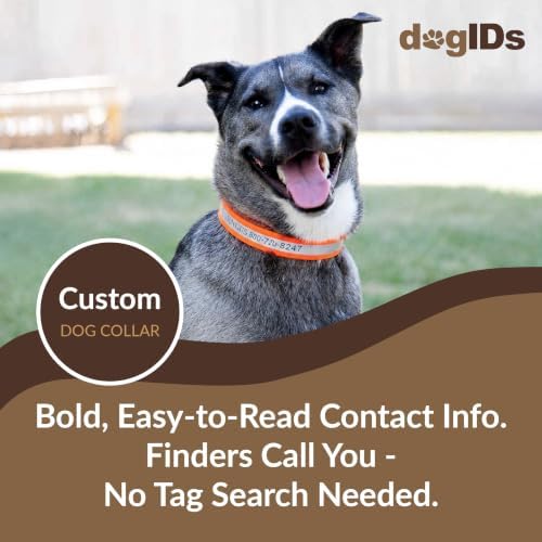 dogIDs Personalized Reflective Waterproof Dog Collar - Custom, Durable, Adjustable, Odor Resistant, Safe, Engraved - Orange, 1 in x 14 in (Fits Neck Sizes: 12-16 in)