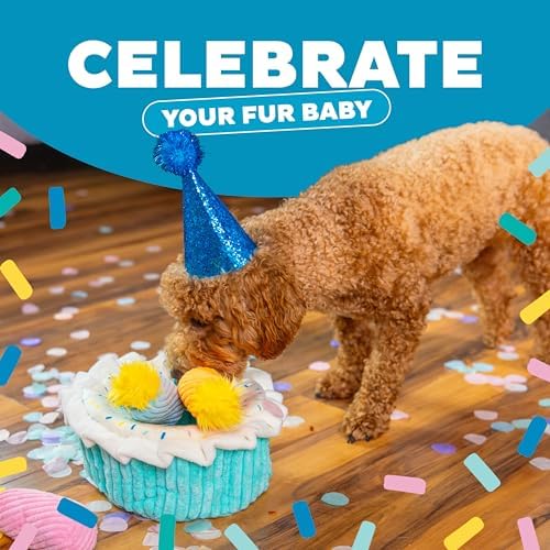 Outward Hound Hide-A-Birthday-Cake Plush Squeaky Dog Toy, 7.5" x 4.7"