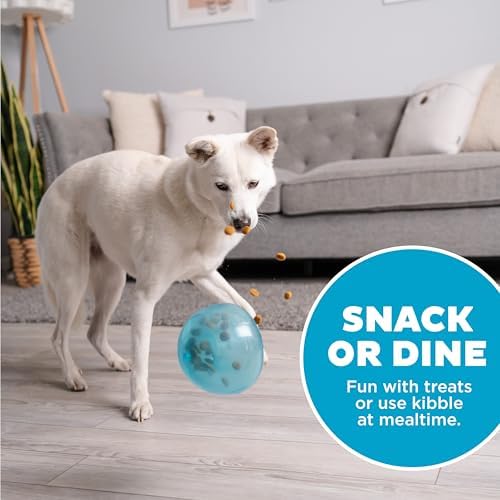 Outward Hound Snoop Interactive Treat Dispensing Dog Toy, Blue, 5"