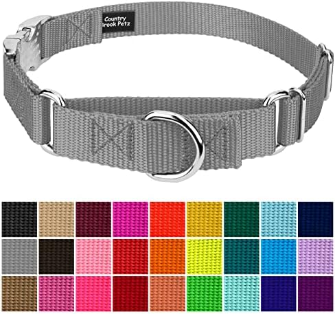 Country Brook Petz - Martingale Dog Collar - Heavy Duty Nylon Adjustable Martingale Dog Collar with Metal Buckle for Small Medium Large Breeds - 30+ Color Options (1 Inch, Extra Large, Silver)