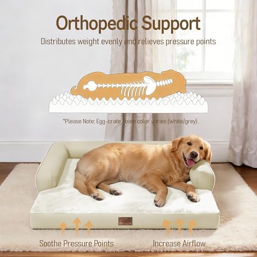 Comfort Expression Orthopedic XL Dog Bed for Large and Extra Large Dogs