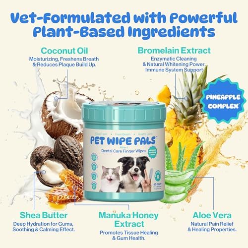All-in-1 Dog Teeth Cleaning Wipes | Enzymatic Whitening + Micro Scrubbing Beads | Pet Dental Wipes & Finger Tooth Brushing Kit | Plant-Based Dental Care for Cats & Dogs (60 Count)