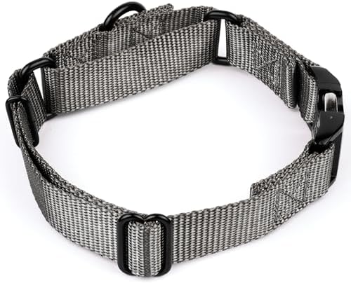 Country Brook Petz - Martingale Dog Collar - Heavy Duty Nylon Adjustable Martingale Dog Collar with Metal Buckle for Small Medium Large Breeds - 30+ Color Options (1 Inch, Large, Charcoal)