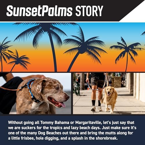 Wolfgang Heavy Duty, Adjustable Dog Collar with Quick Release Nylon Buckle for Walking & Training, SunsetPalms Print, Medium