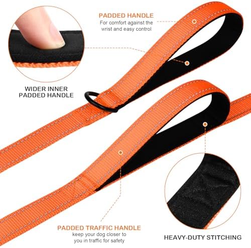 Joytale Dog Leash for Large Dogs that Pull, Double Handle, 5FT, Orange