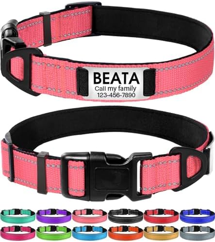 Joytale Personalized Dog Collar with Name Plate Built-in for XLarge Dogs