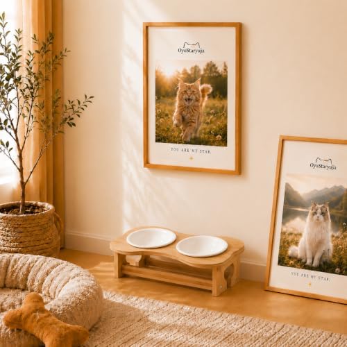 Bone Elevated 5.5" Ceramic Cat Puppy Bowls, Raised Cat Bowl Stand