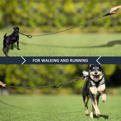 Plutus Pet Double Handle Dog Leash, 4 FT Long, for Medium Large Dogs