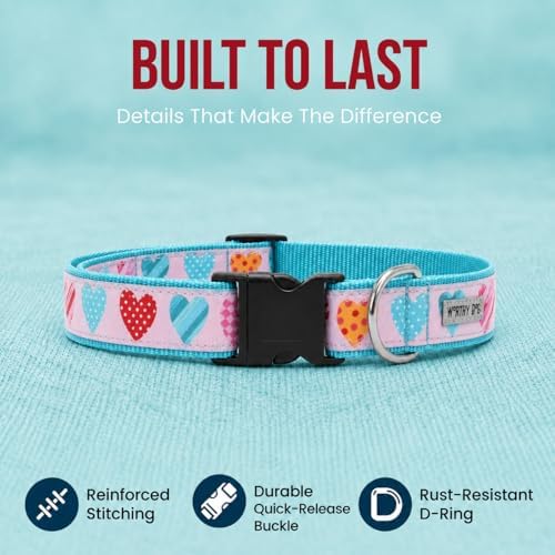 THE WORTHY DOG Summer Print, Adjustable Dog Collar, Large Dogs,Love is Love