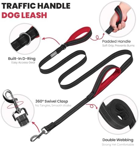 VIVAGLORY Double Handle Dog Leash Twingrip, 5ft x 1in, S, Black