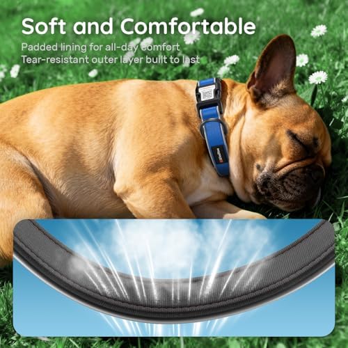 Personalized Dog Collar with QR Code Dog Tag, Oxford Blue S