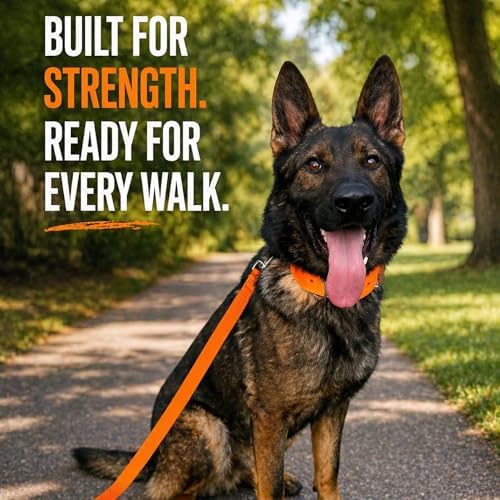 SparkDog 2” Working Dog Collar – Heavy Duty