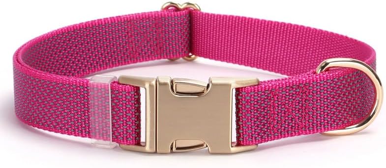 Reflective Dog Collar with Metal Buckle for Dogs Night Walking