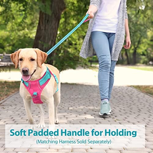 PHOEPET 5 Feet Dog Leash with Comfortable Padded Handle Easy Snap Clasp