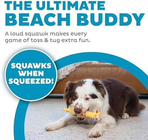 Outward Hound by Charming Pet Squawkers Henrietta Latex Squeaky Rubber Chicken Dog Toy, Funny Interactive Holiday Toy for Dogs, Small Size (Pack of 2)