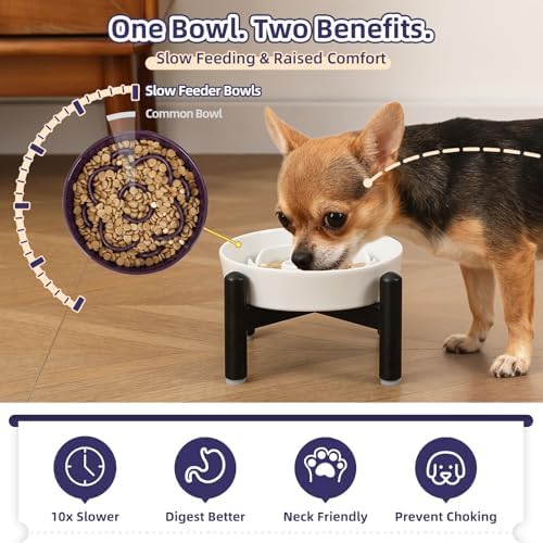 Elevated Slow Feeder Dog Bowl, 0.8 Cups Ceramic Raised Slow Feeder with Stainless Stand, 6.3 Inch Wide Lifted Dog Bowl for Small Breeds to Control Eating Speed, Purple