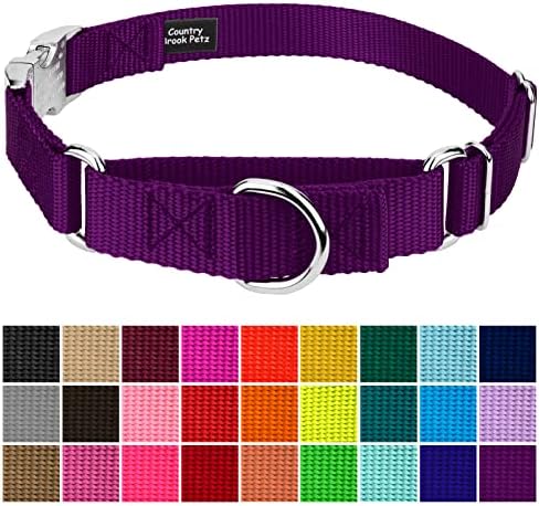 Country Brook Petz - Martingale Dog Collar - Heavy Duty Nylon Adjustable Martingale Dog Collar with Metal Buckle for Small Medium Large Breeds 30+ Color Options (1 Inch, Extra Large, Purple)