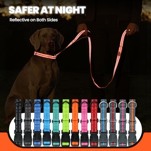 VIVAGLORY Double Handle Dog Leash Twingrip, 5ft x 1in, L, Orange